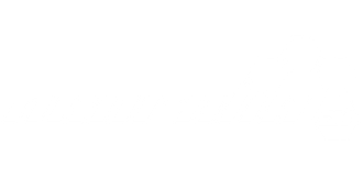 A white background with a few lines on it