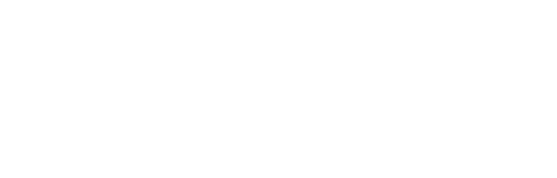 neuralis logo