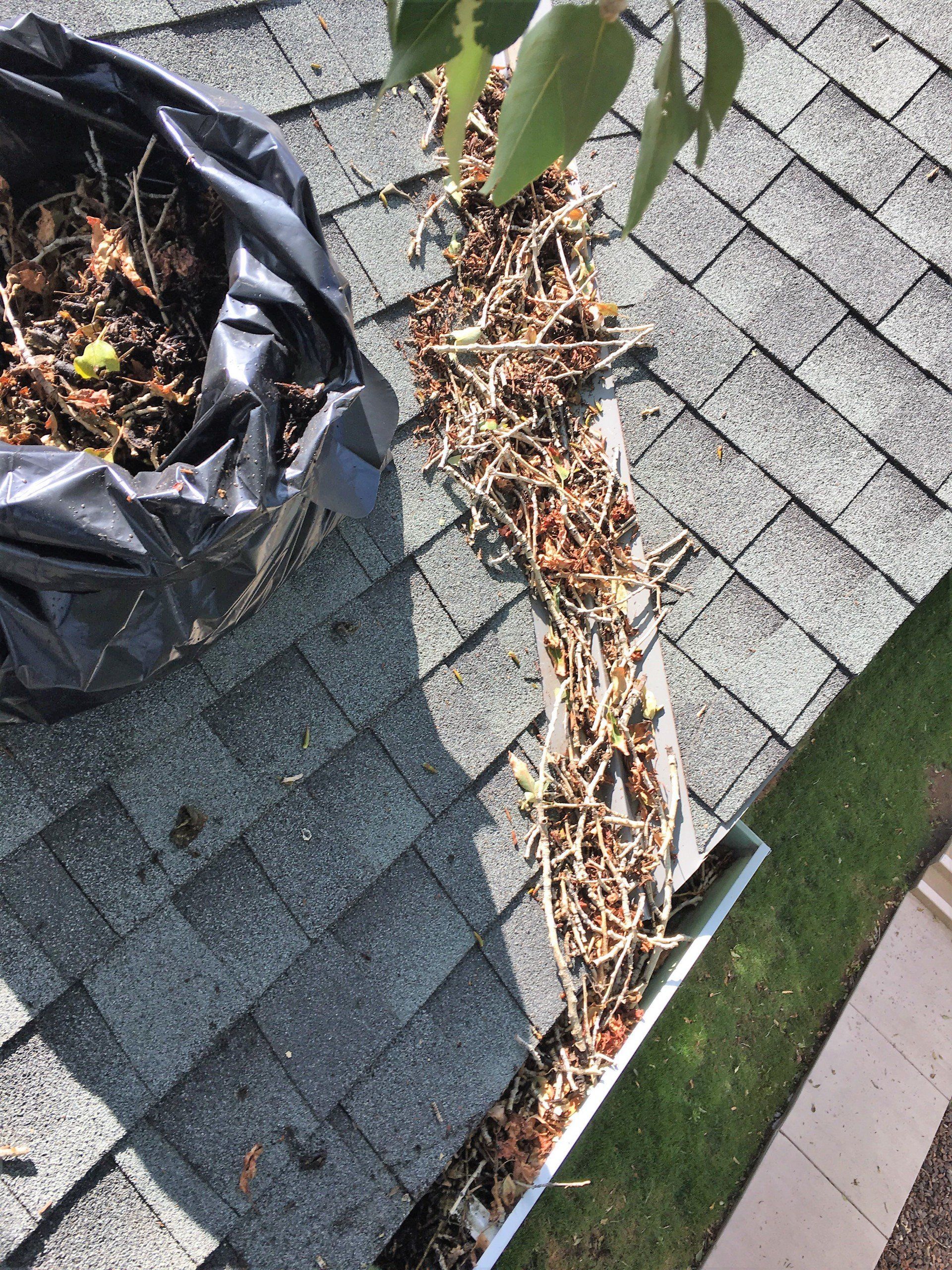 Cluttered gutters - before.