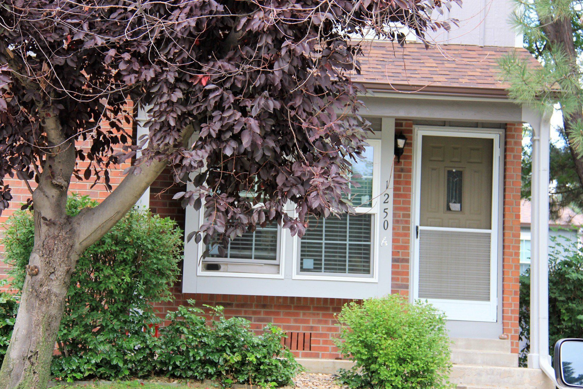 Check out our completed window and siding project (view is of front of residence).