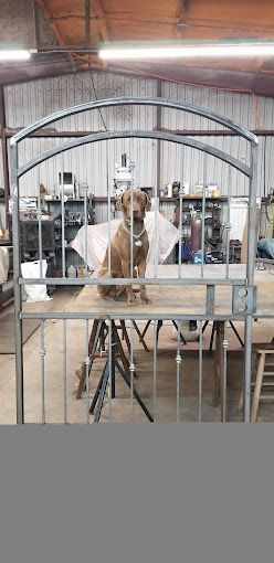 A dog is sitting in a cage in a building.