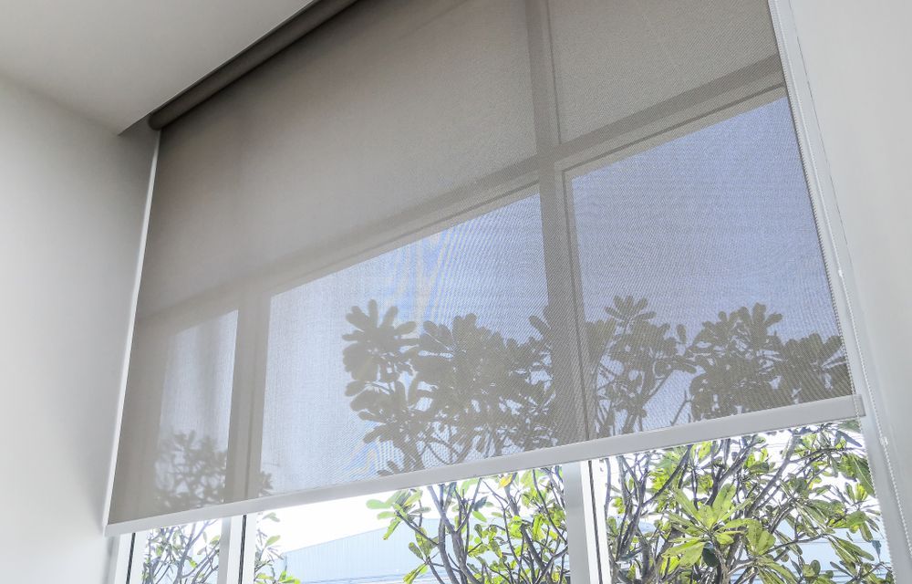 Sheer Roller Blinds Covering Large Windows With Trees Visible Outside — Another Blind Man in Coolum, QLD