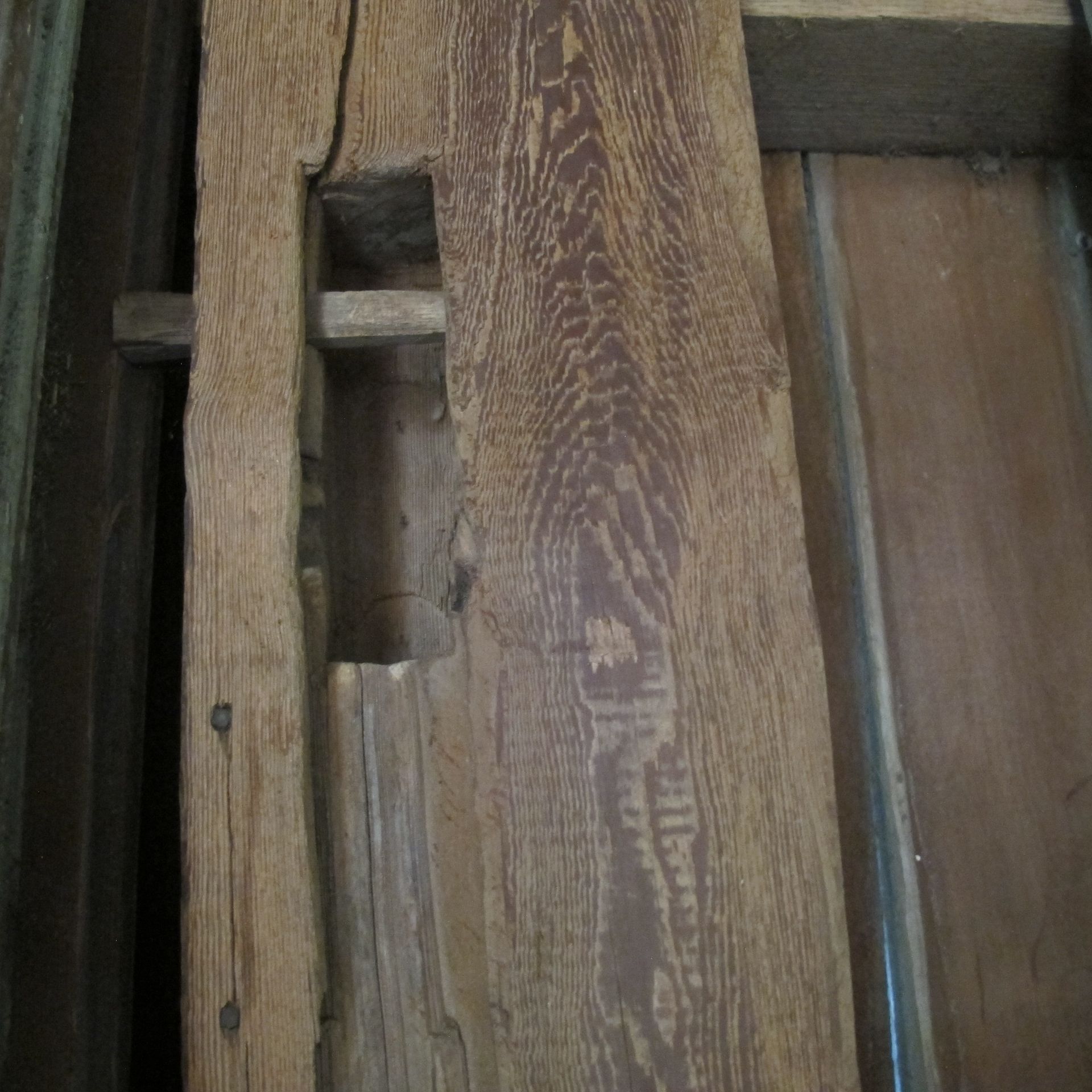 Close-up of timber frame joint in Pennsylvania with drawboring technique showing heritage craft. 