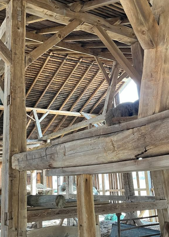 Ray fleck patterns highlighted in rustic timber beams within Pennsylvania heritage architecture. 
