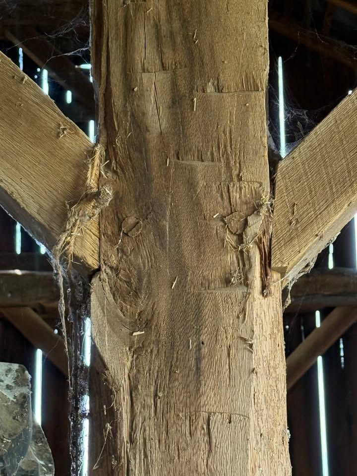 Old timber beams with fuming wood effect.