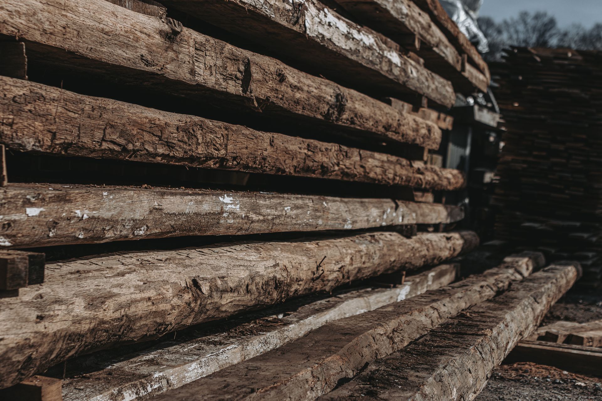 Stacked timber prepared for Janka hardness test.