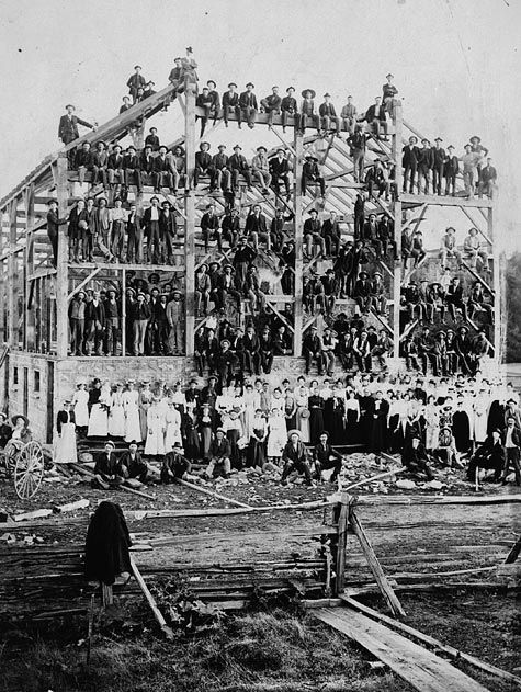 A hallway with hardwood floors and plants in pots