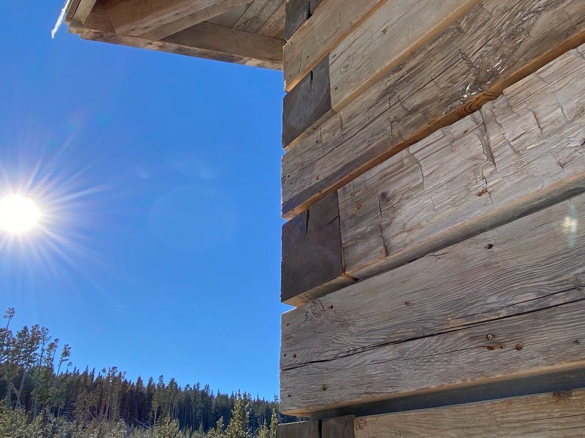 Rustic Reclaimed Wood Wall with Sunny Forest View in Pennsylvania