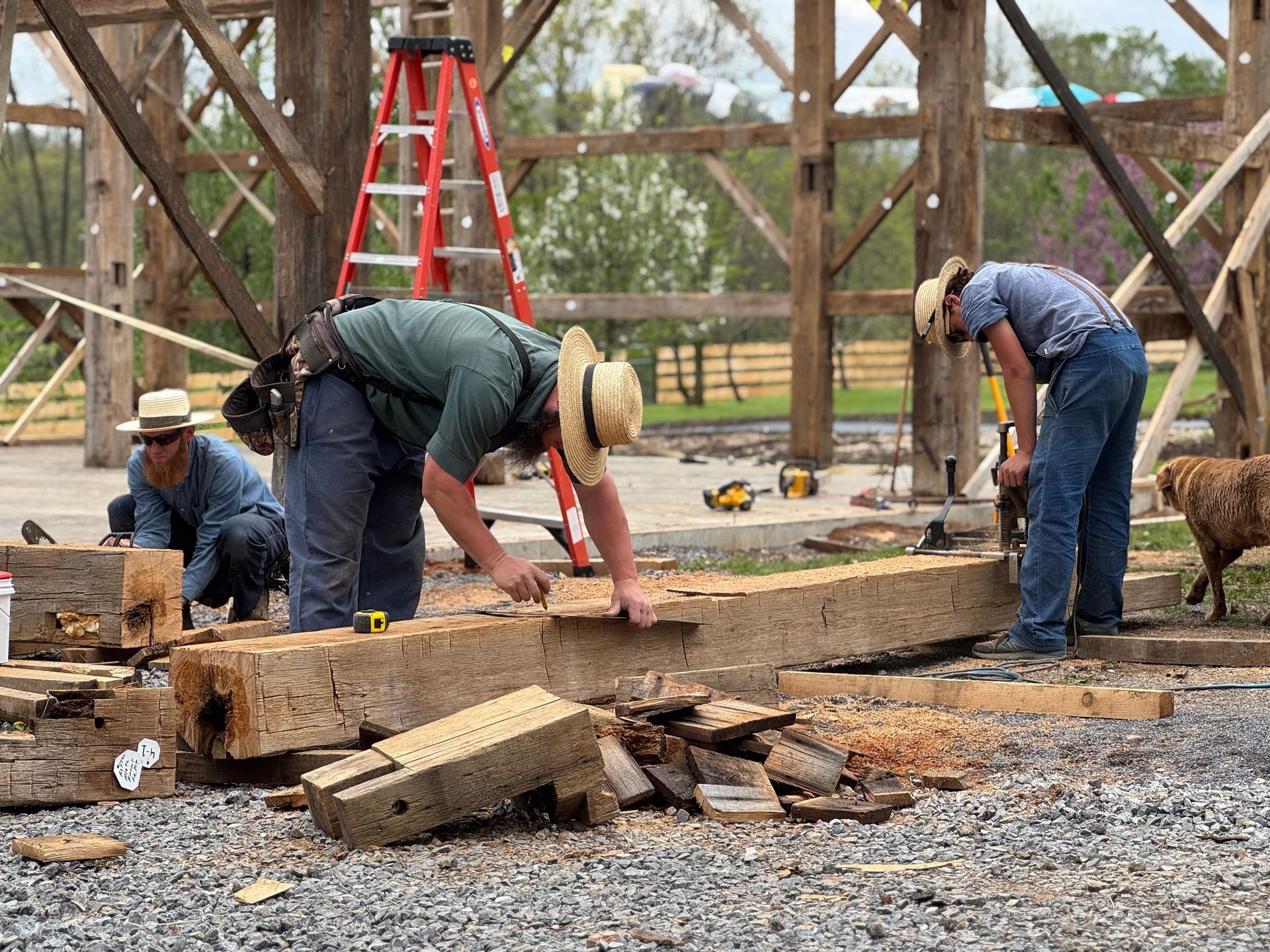 Workers from restoration companies measure and shape large wooden beams for a timber-frame structure
