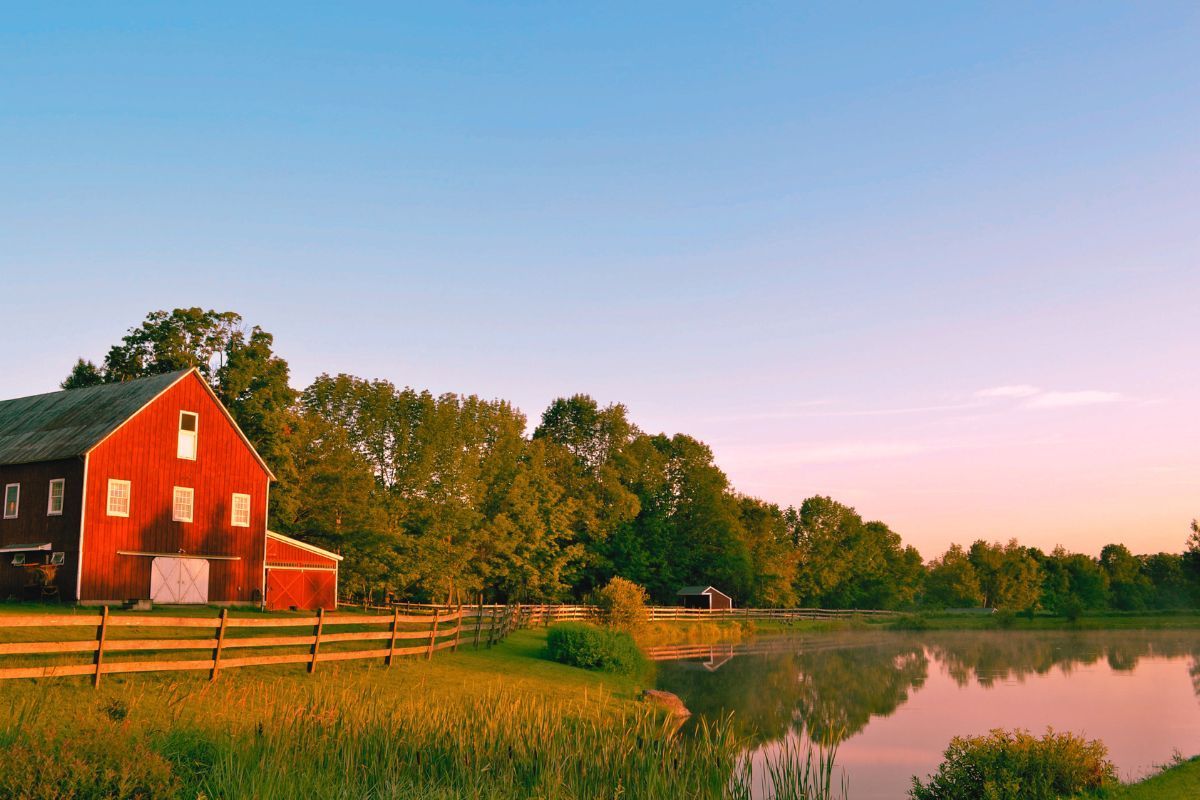 Red barn by a tranquil pond at sunrise, rustic farm setting inspiring ideas on how to start a wedding venue.