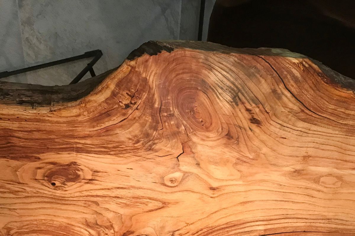 Polished live edge wood slab with rich grain.