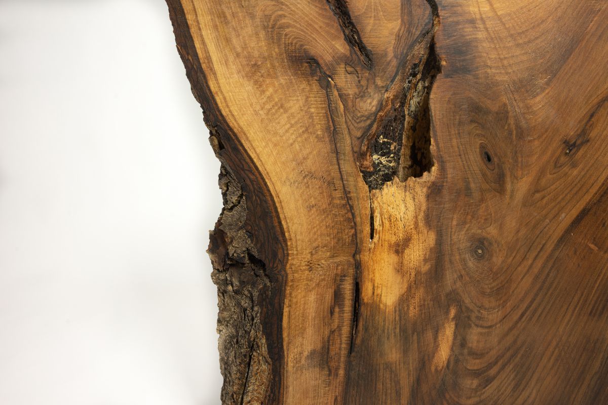 Live edge wood slab in Pennsylvania with rich grain detail highlighting natural rustic craftsmanship