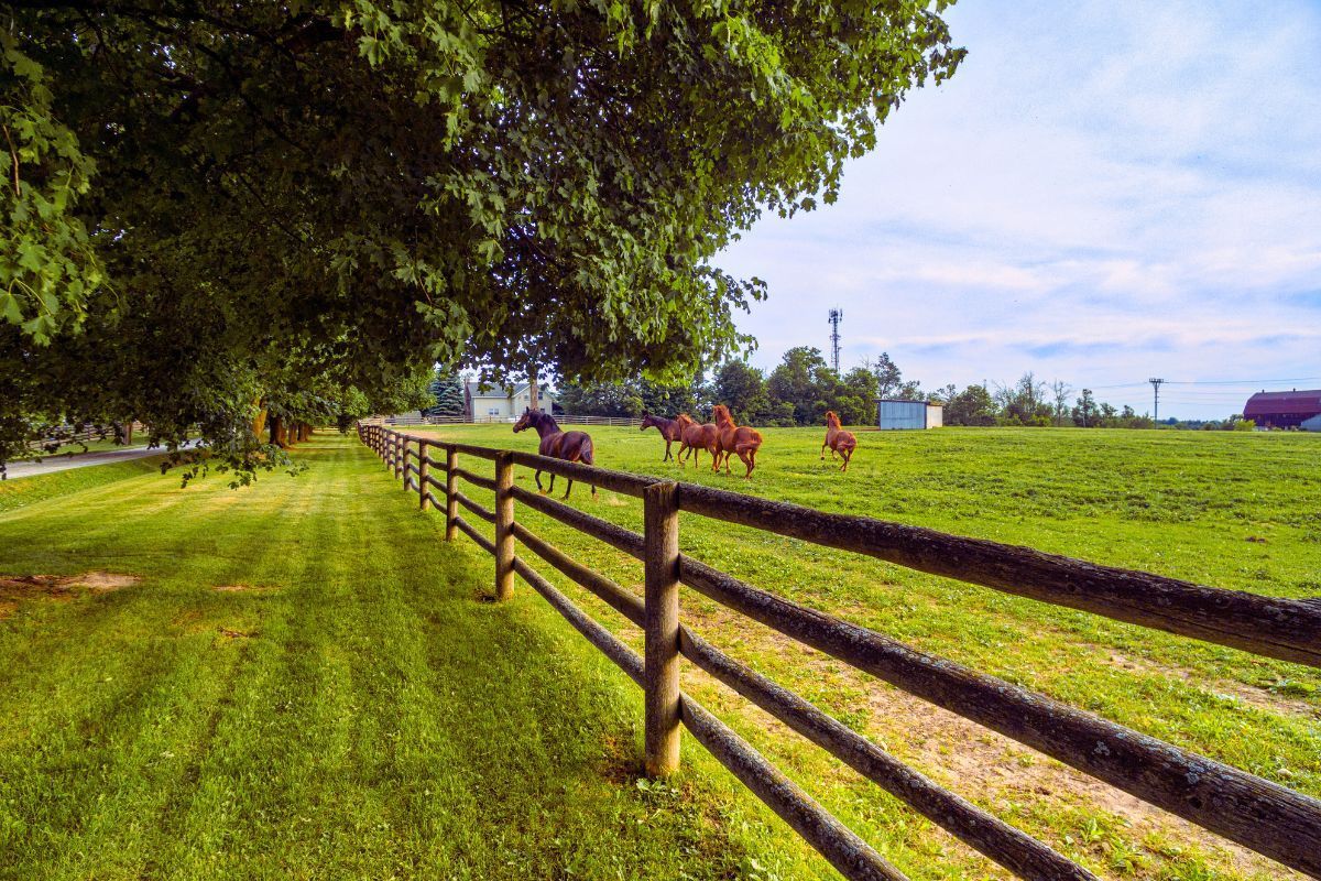 Build a Ranch on a Budget | Bay & Bent | Pennsylvania