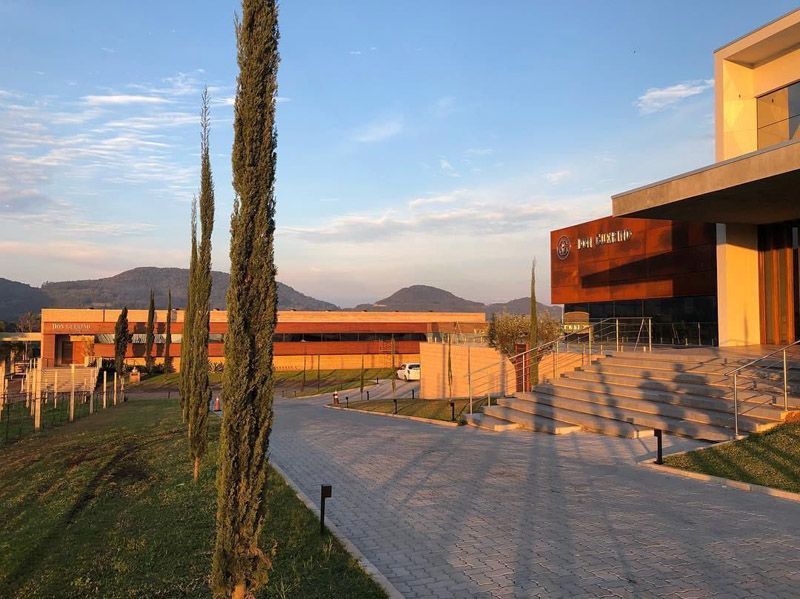 Exterior de uma vinícola com ciprestes, caminho pavimentado e montanhas ao fundo sob um céu azul.