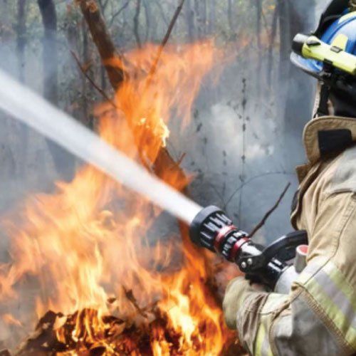 A fireman is spraying water on a fire in the woods