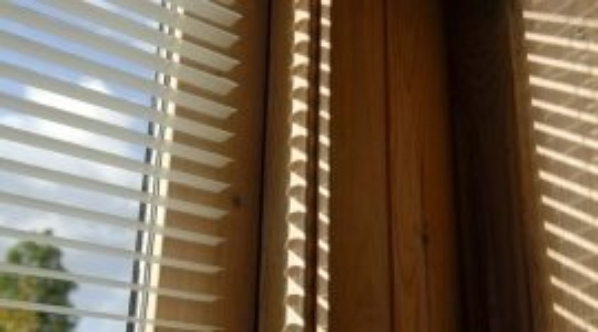 zanzariera in una finestra