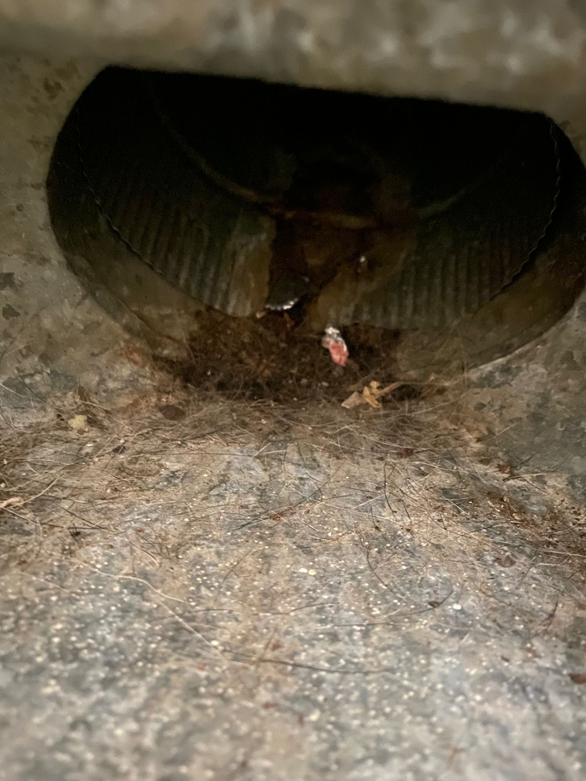 duct cleaning near me