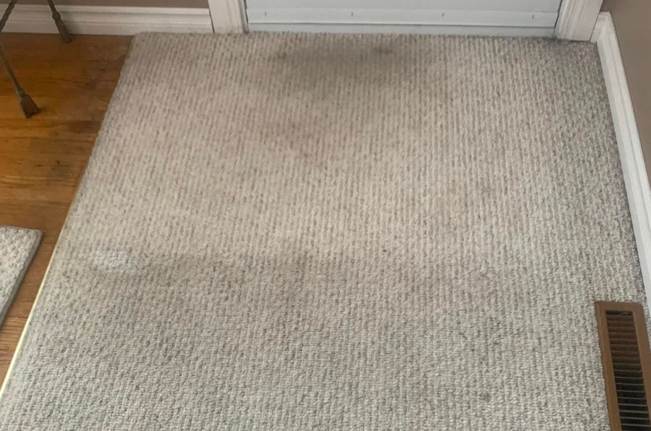 carpet steam cleaning near me