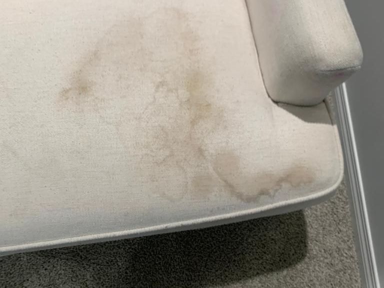 upholstery steam cleaning near me