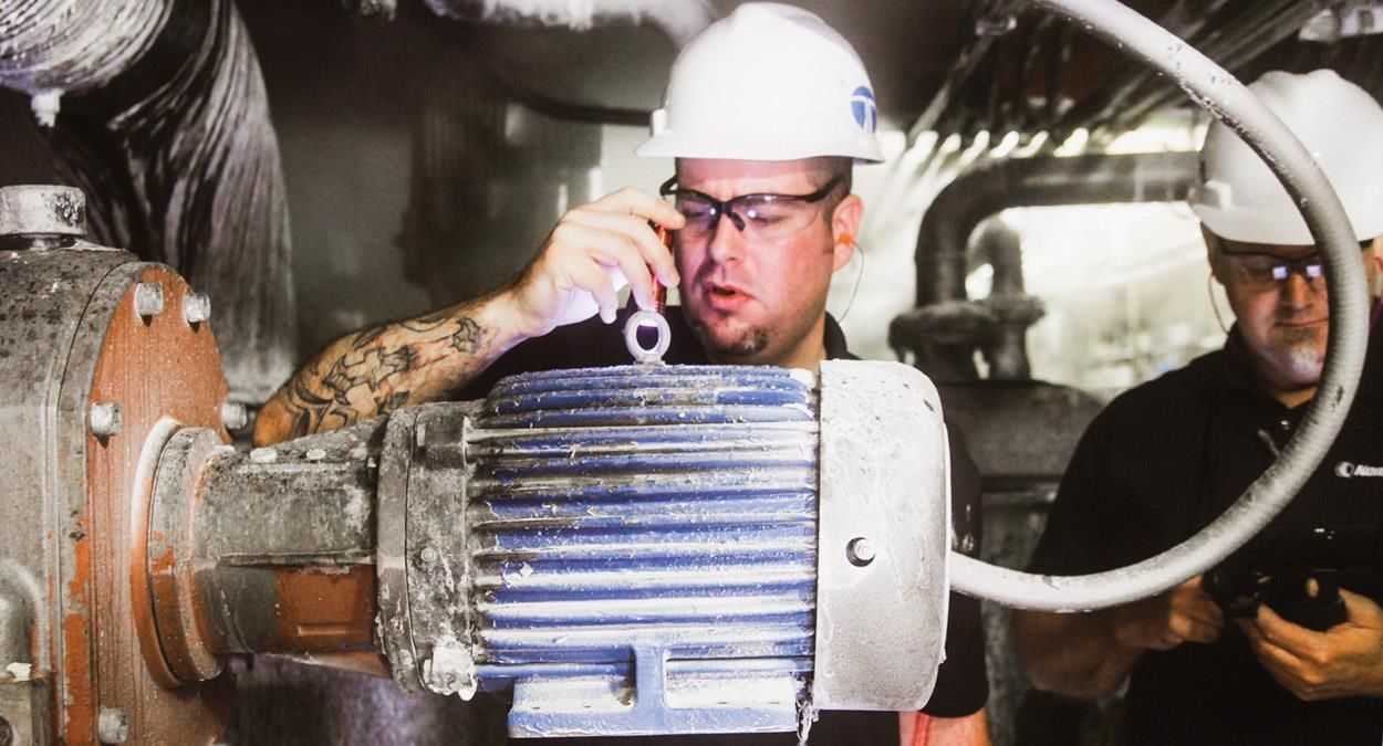 Electrical Motor Servicing