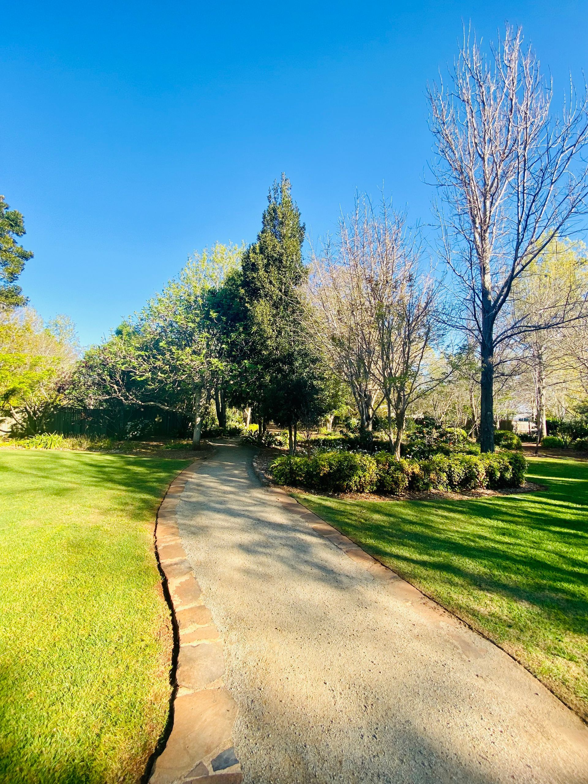 Path In A Park Surrounded By Trees And Grass On A Sunny Day — Comfort N Care Support QLD Pty Ltd In Highfields, QLD