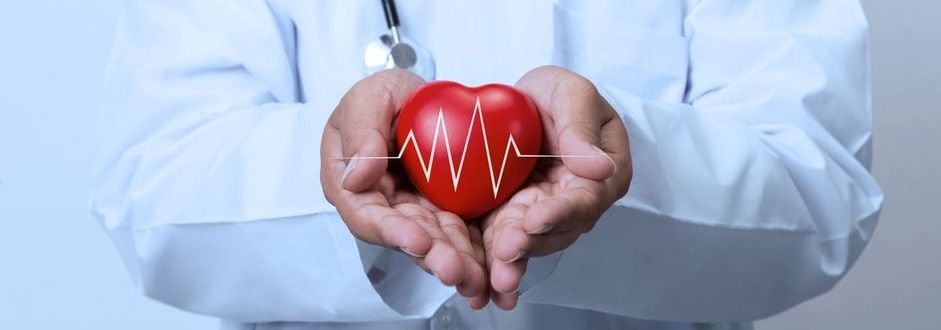 Um médico está segurando um coração vermelho nas mãos com uma linha de batimentos cardíacos desenhada nele.