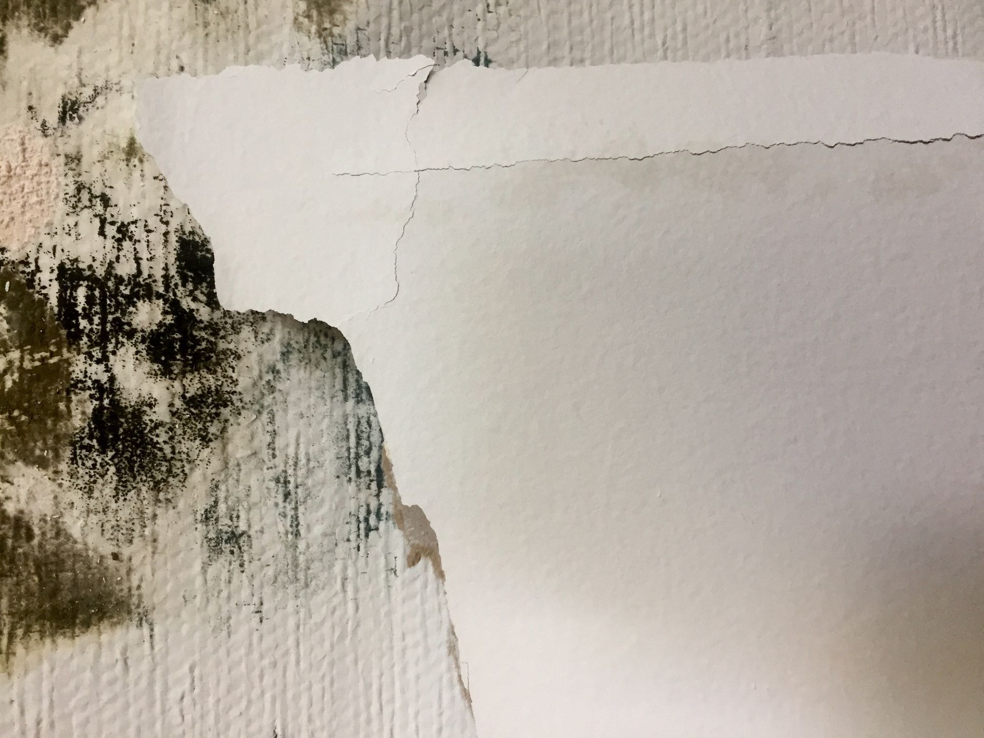 A close up of a piece of paper on a wall.