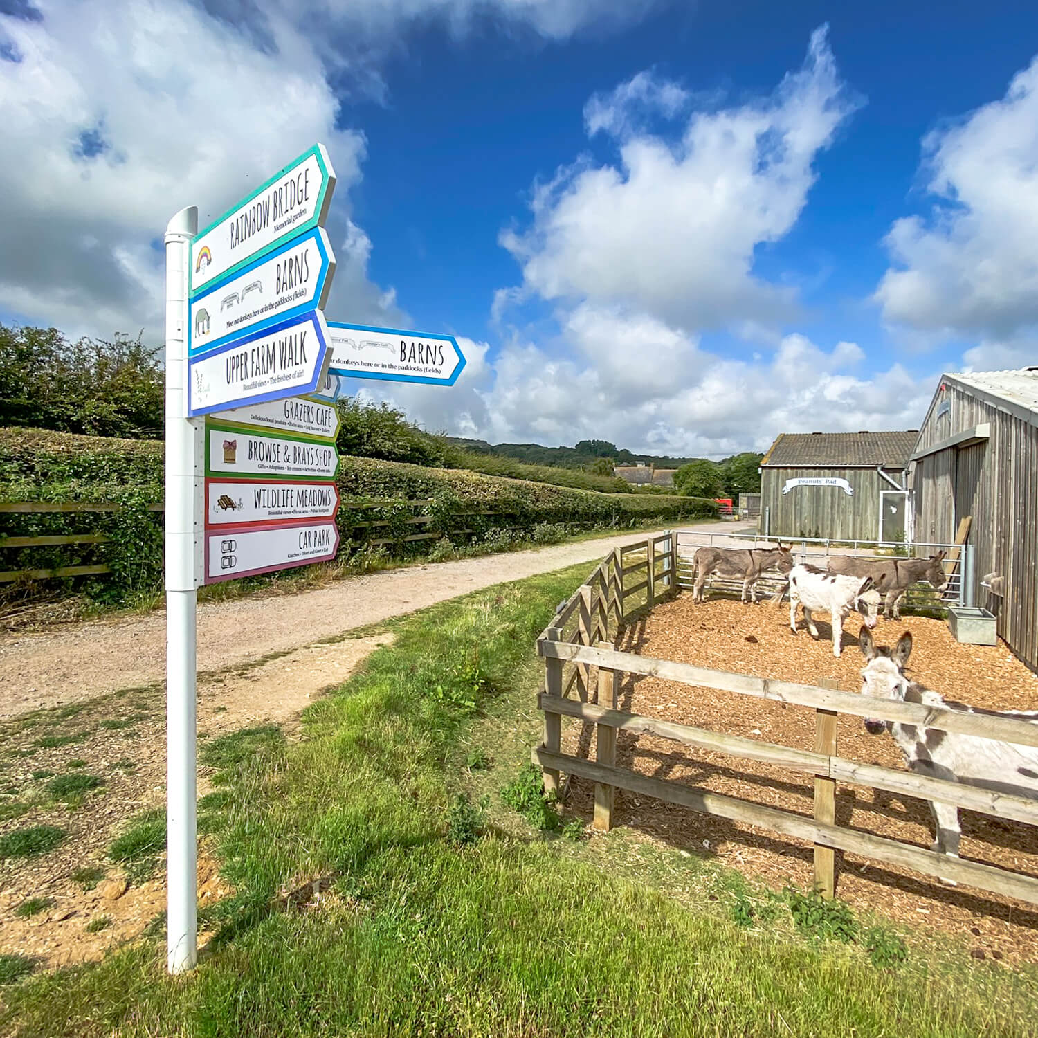 Way-finding and directional signage  for the Isle of Wight Donkey Sanctuary, designed by MooksGoo