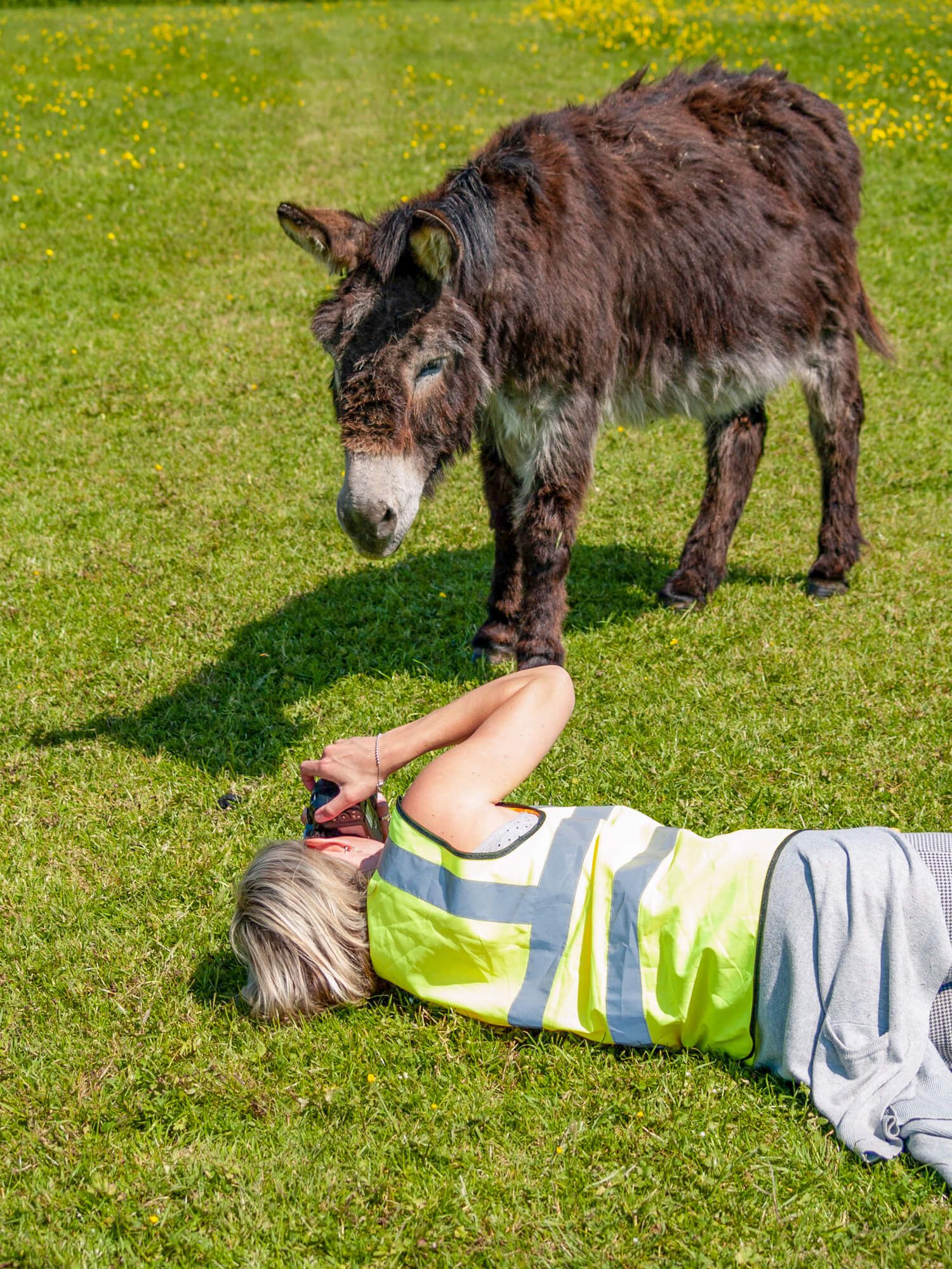 Behind the scenes at the Isle of Wight Donkey Sanctuary, photography by MooksGoo