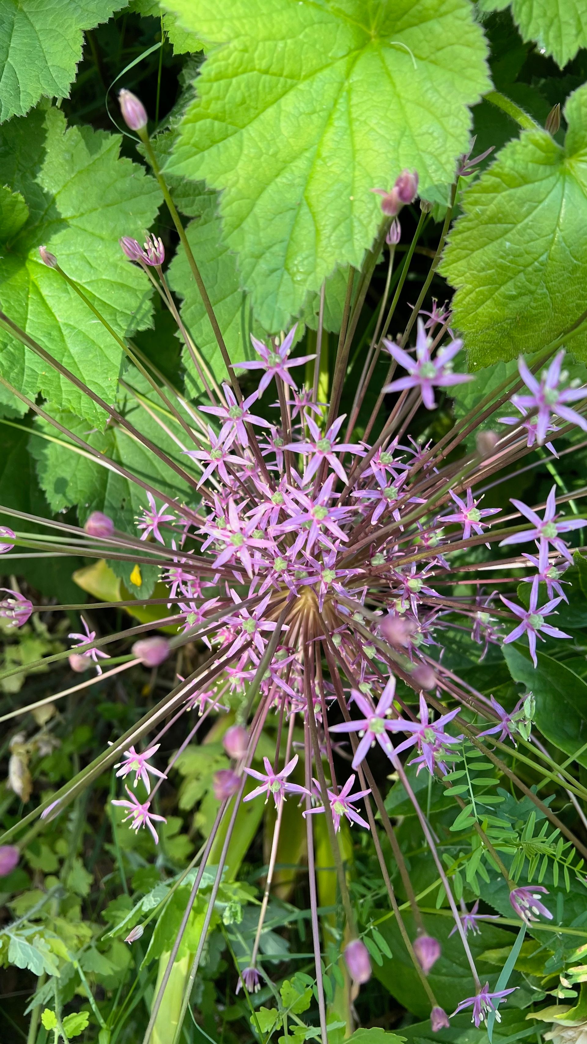 Twee mensen zitten buiten in een tuin en praten met elkaar, met een notitieboekje tussen hen in.