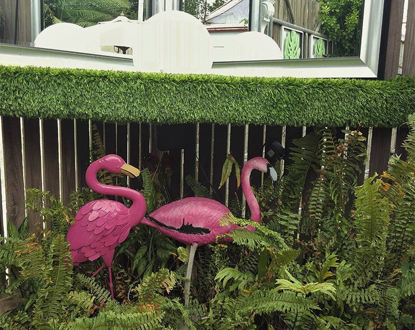 Flamingos in Garden — Restaurant in South Townsville, QLD