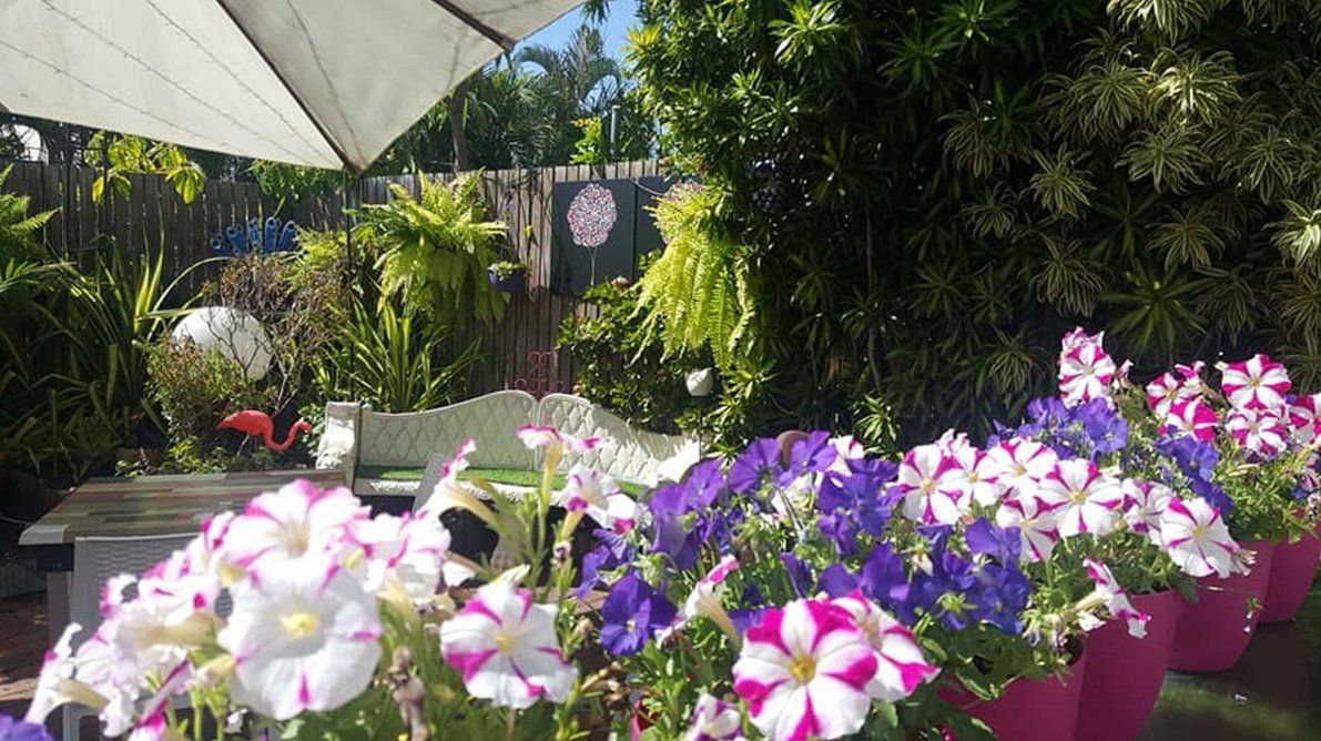Flowers in Garden — Restaurant in South Townsville, QLD