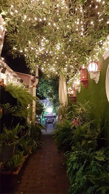 Lights in Garden — Restaurant in South Townsville, QLD