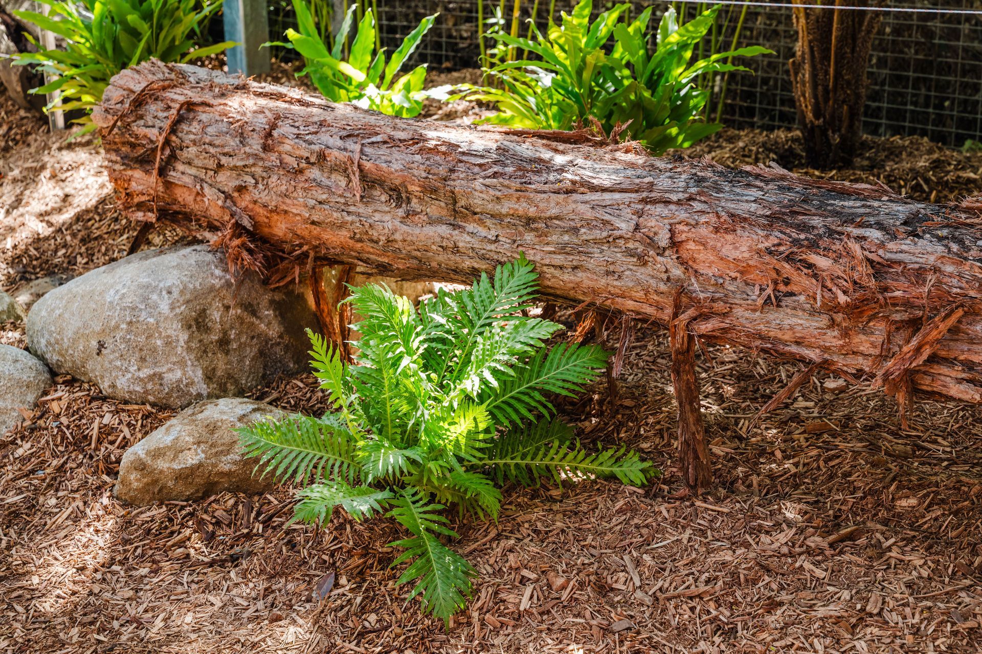 Dreamworl Up Close Den