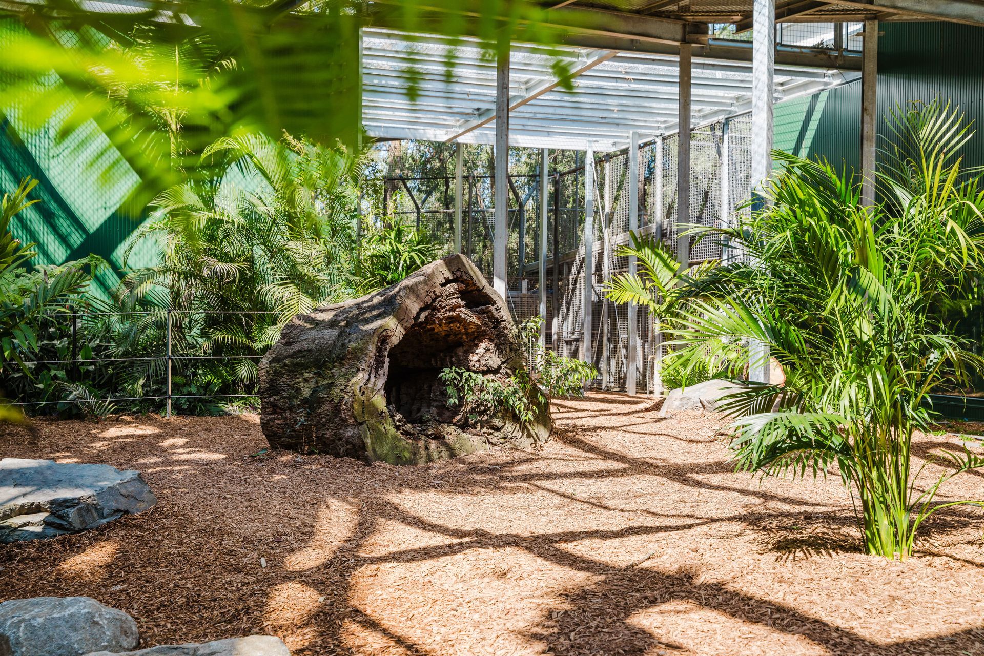 Dreamworl Up Close Den