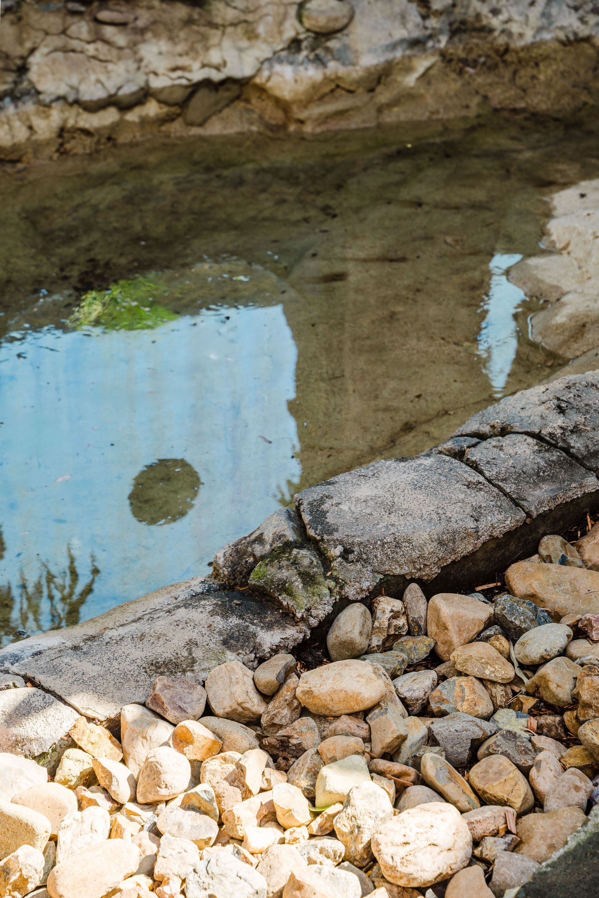 Dreamworl Up Close Den