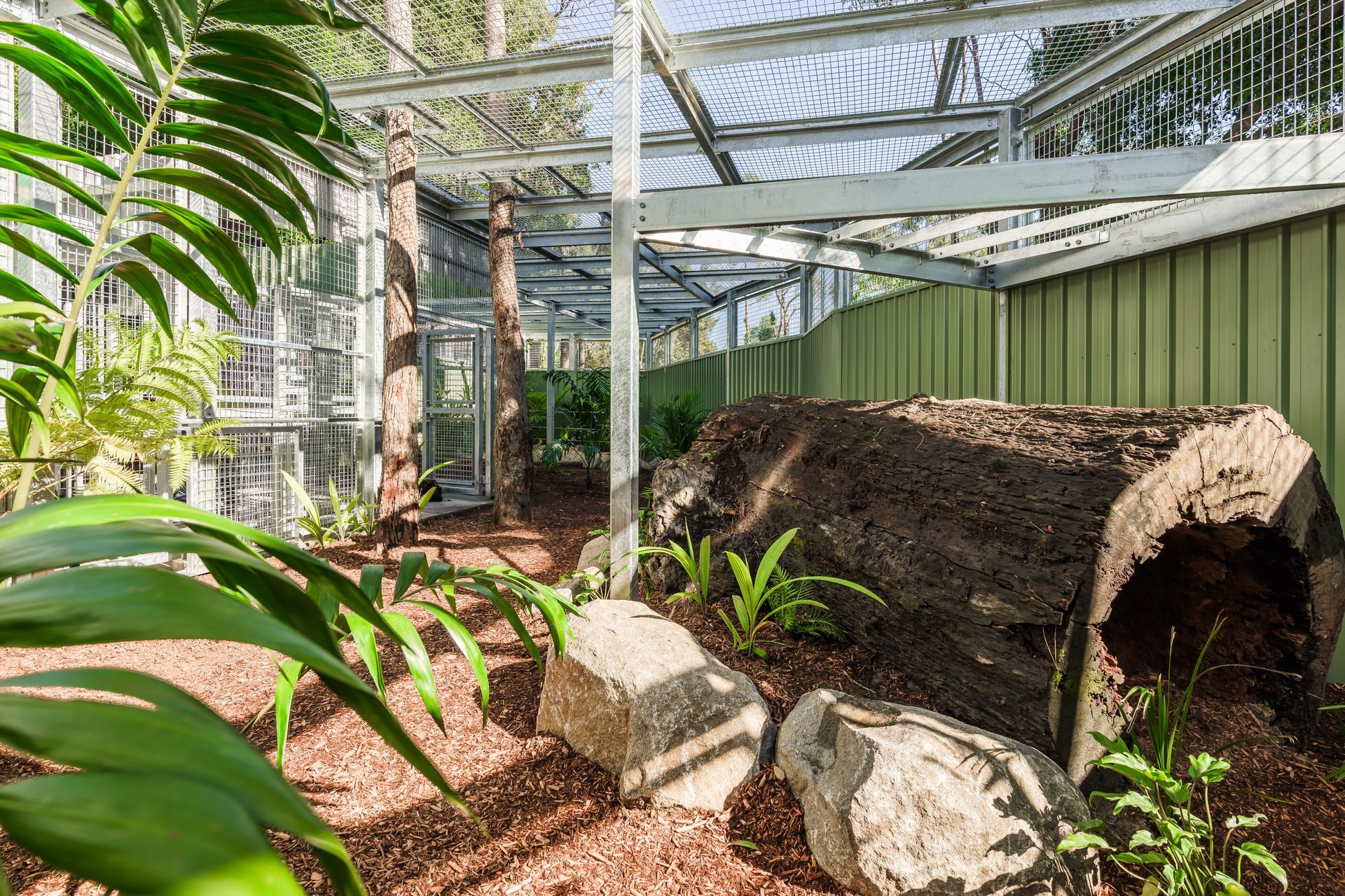 Dreamworl Up Close Den