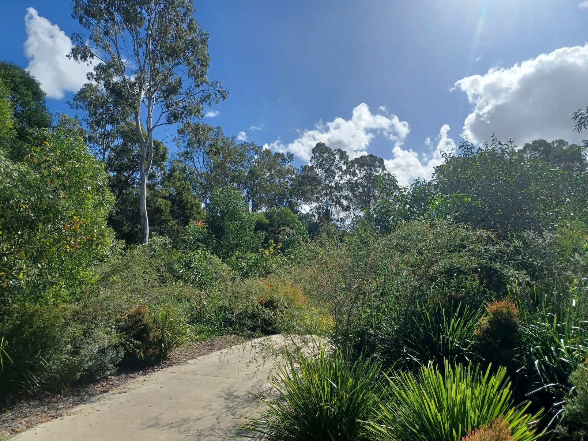 Haig Rd Loganlea Ecological