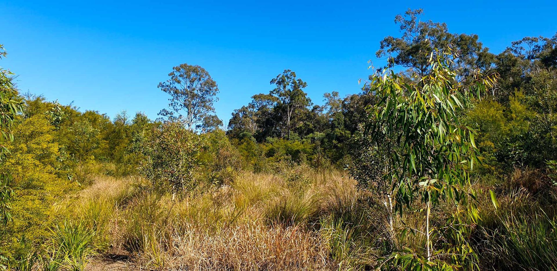 Hillcrest Ecological