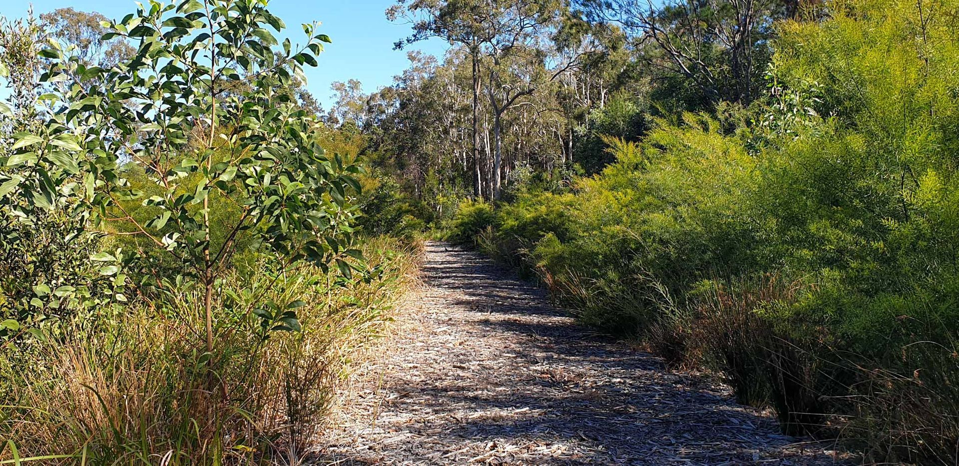 Hillcrest Ecological