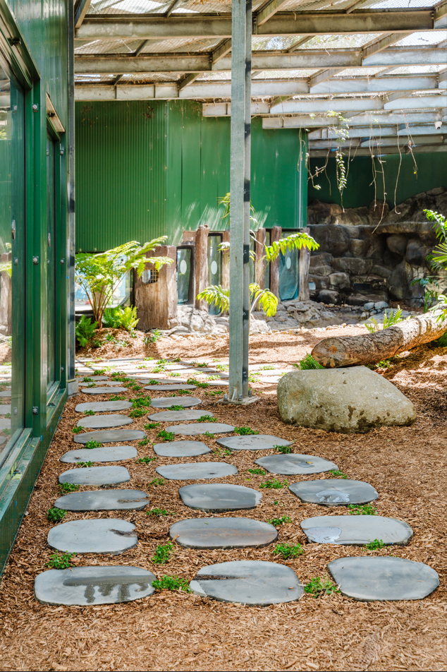 Dreamworl Up Close Den