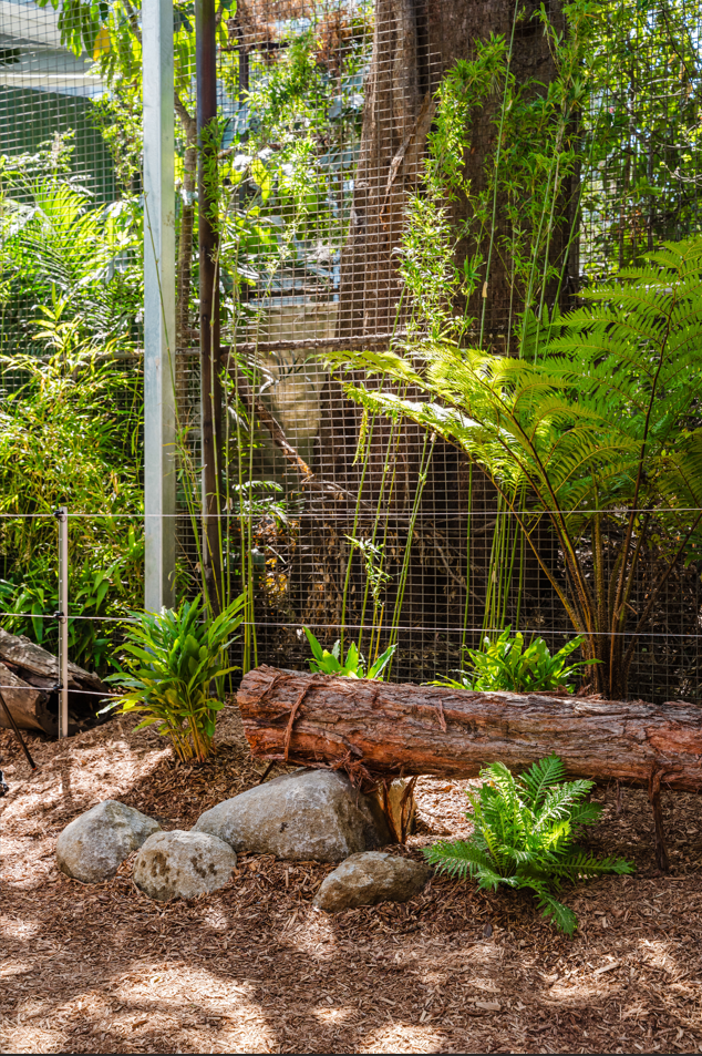 Dreamworl Up Close Den