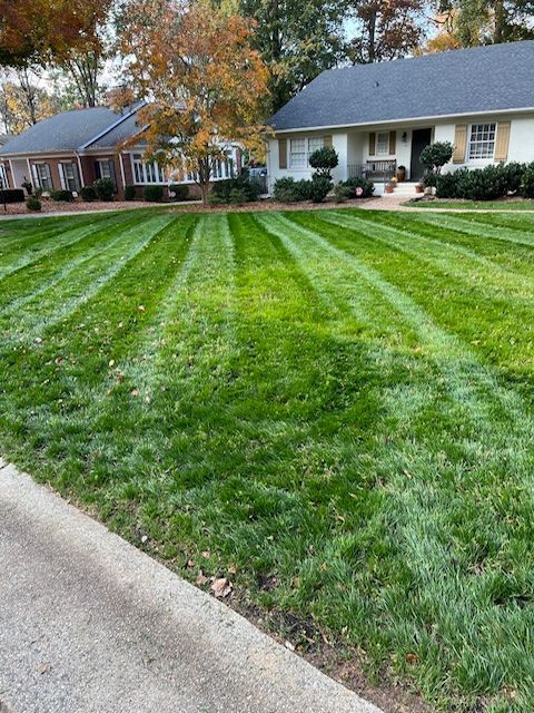 A lush green lawn in front of a house with a blue roof.