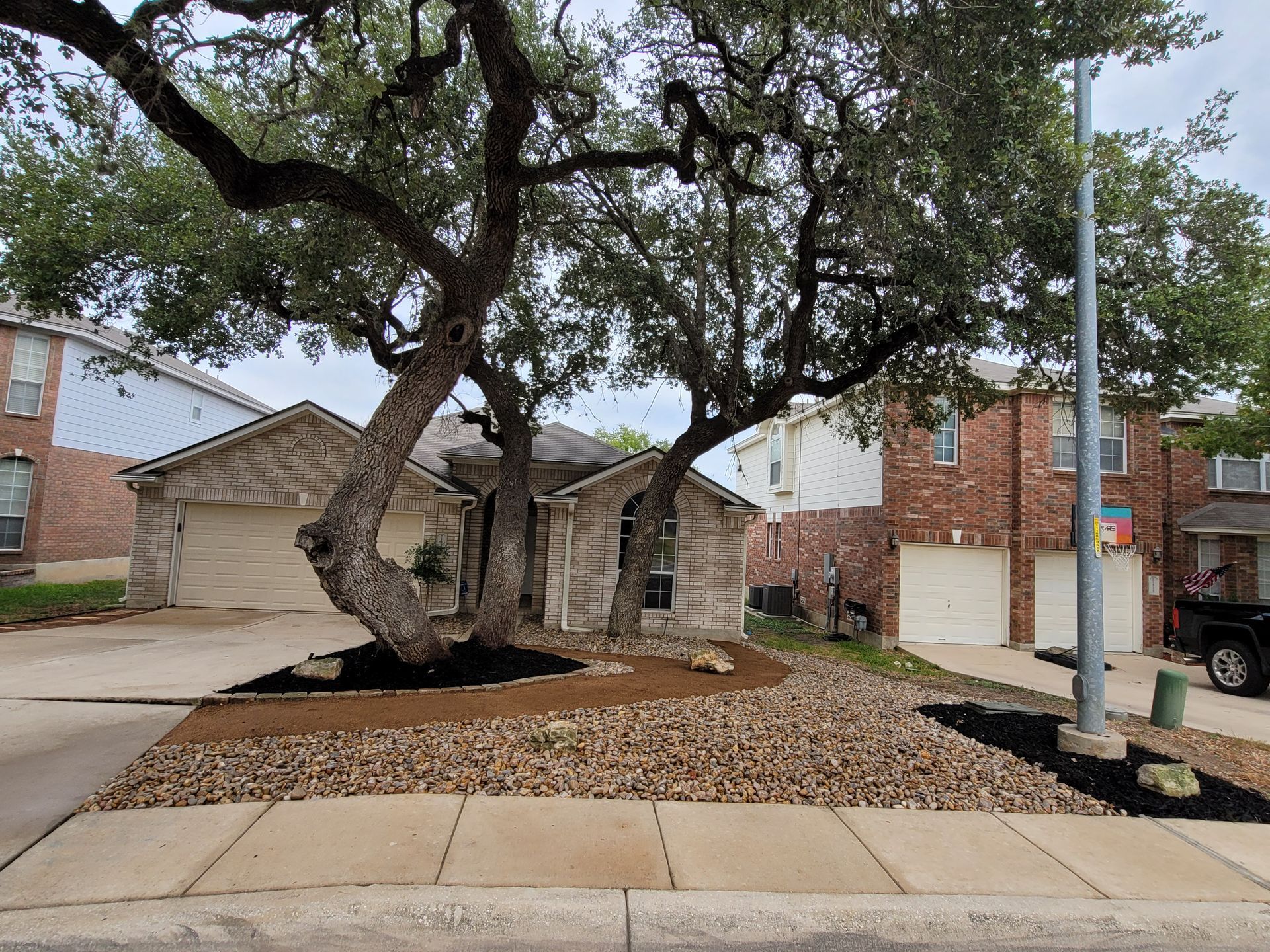 A large tree is in the middle of a driveway in front of a house .