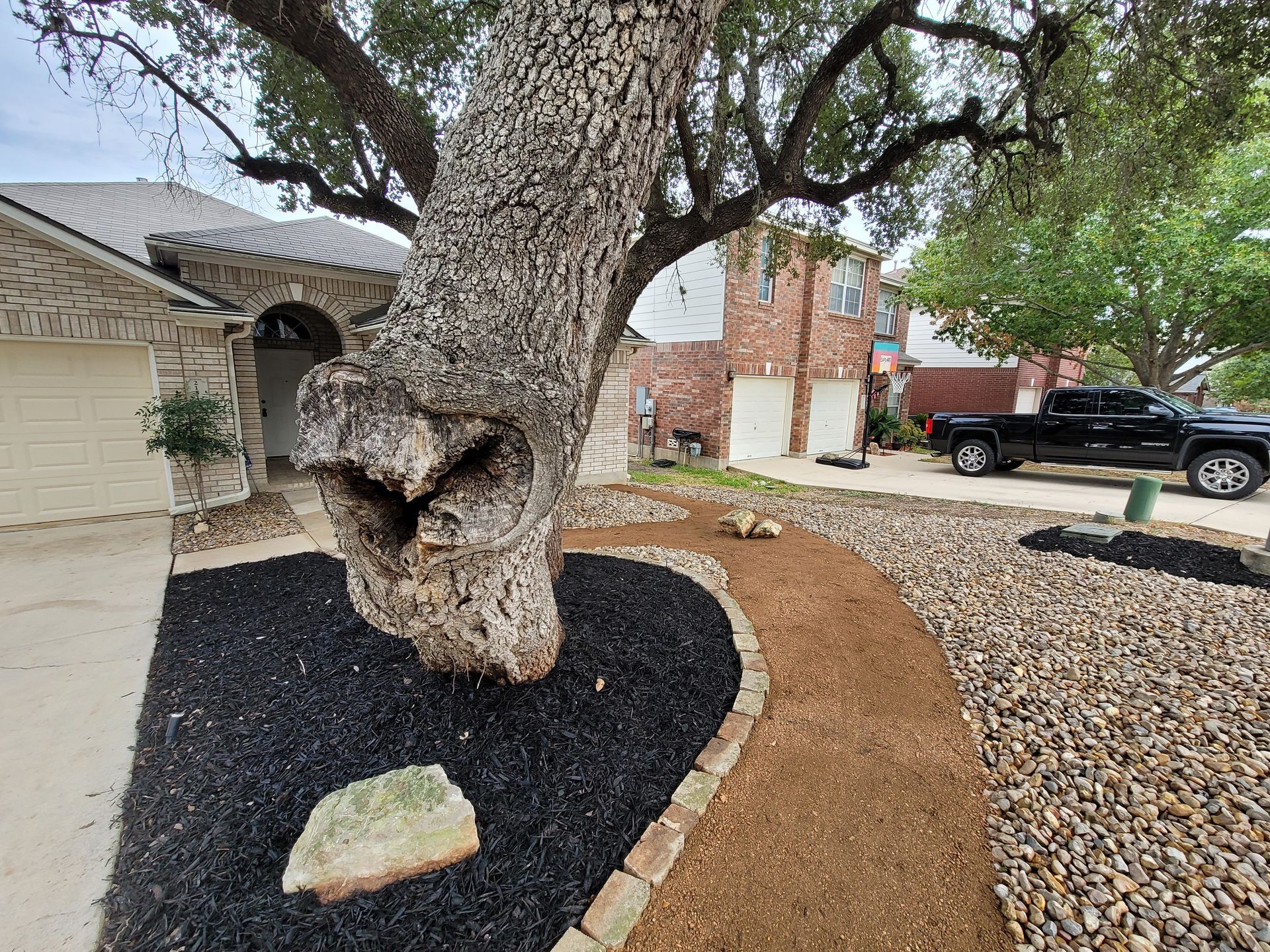 A tree with a hole in it is in the middle of a yard next to a house .