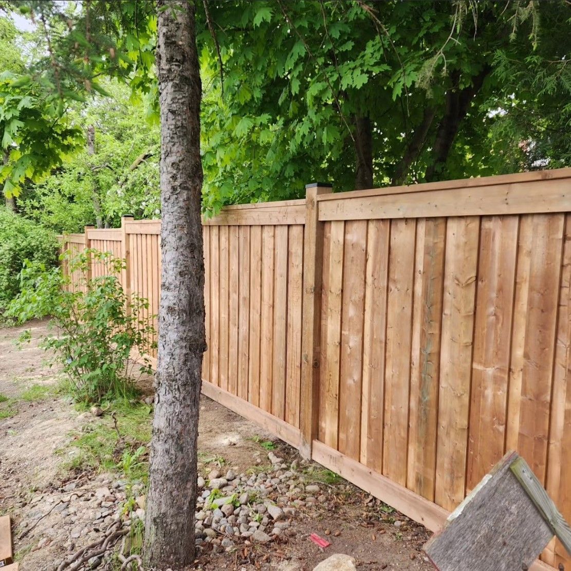 Wooden fence in a yard, trees in the background. Brown wooden planks, post tops, and a tree trunk.