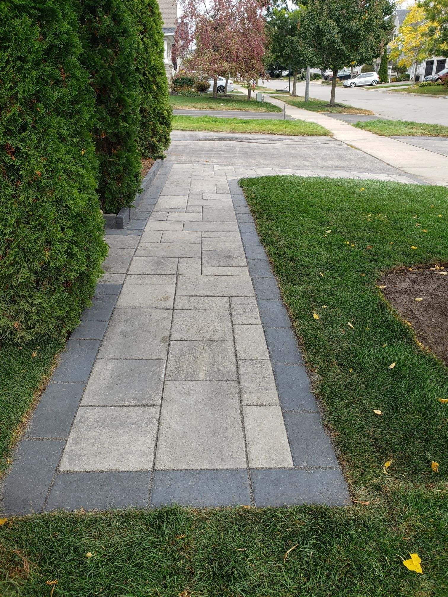 Stone walkway with a border, flanked by grass and shrubs.