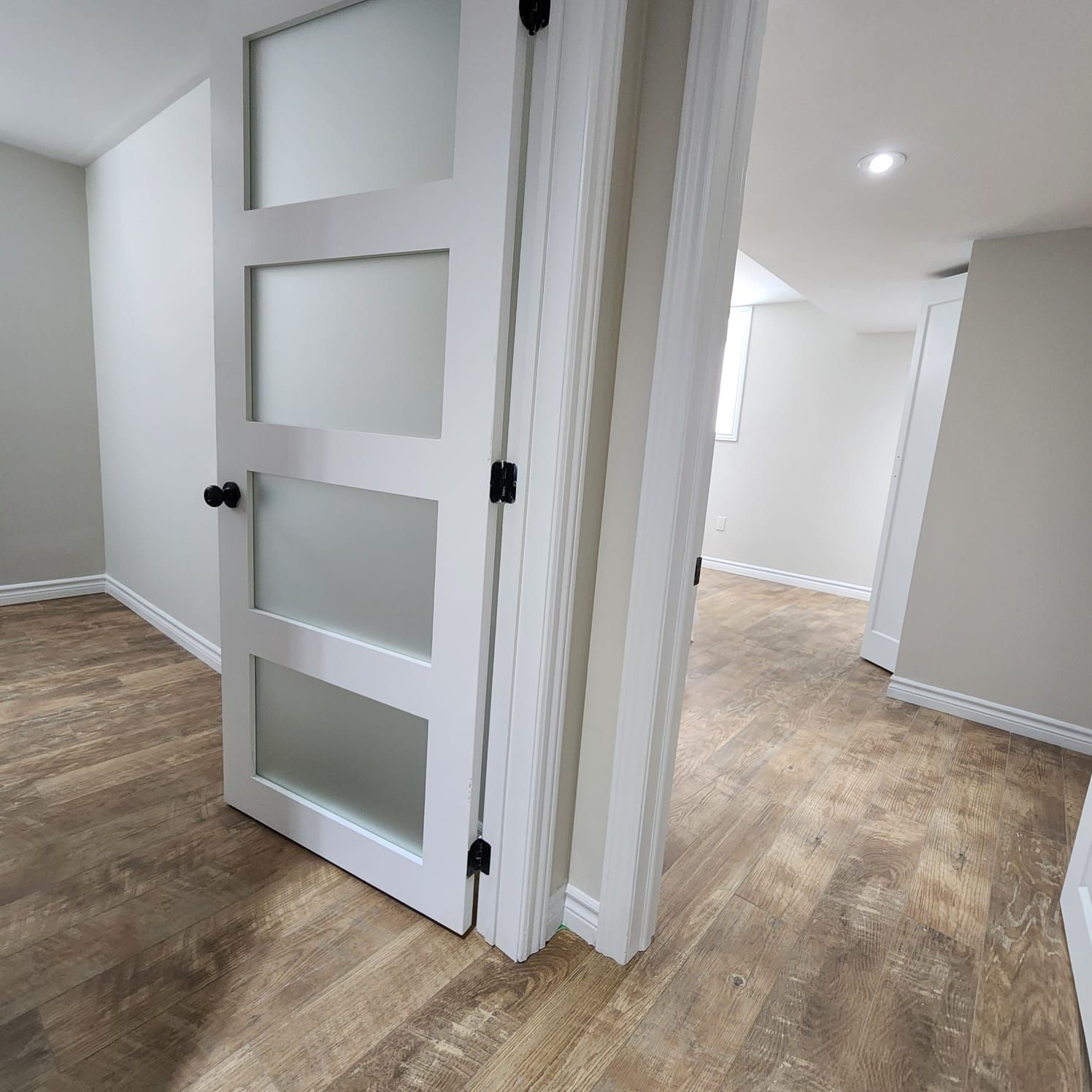 White interior door with frosted glass panels, black hardware, and wood-look flooring.
