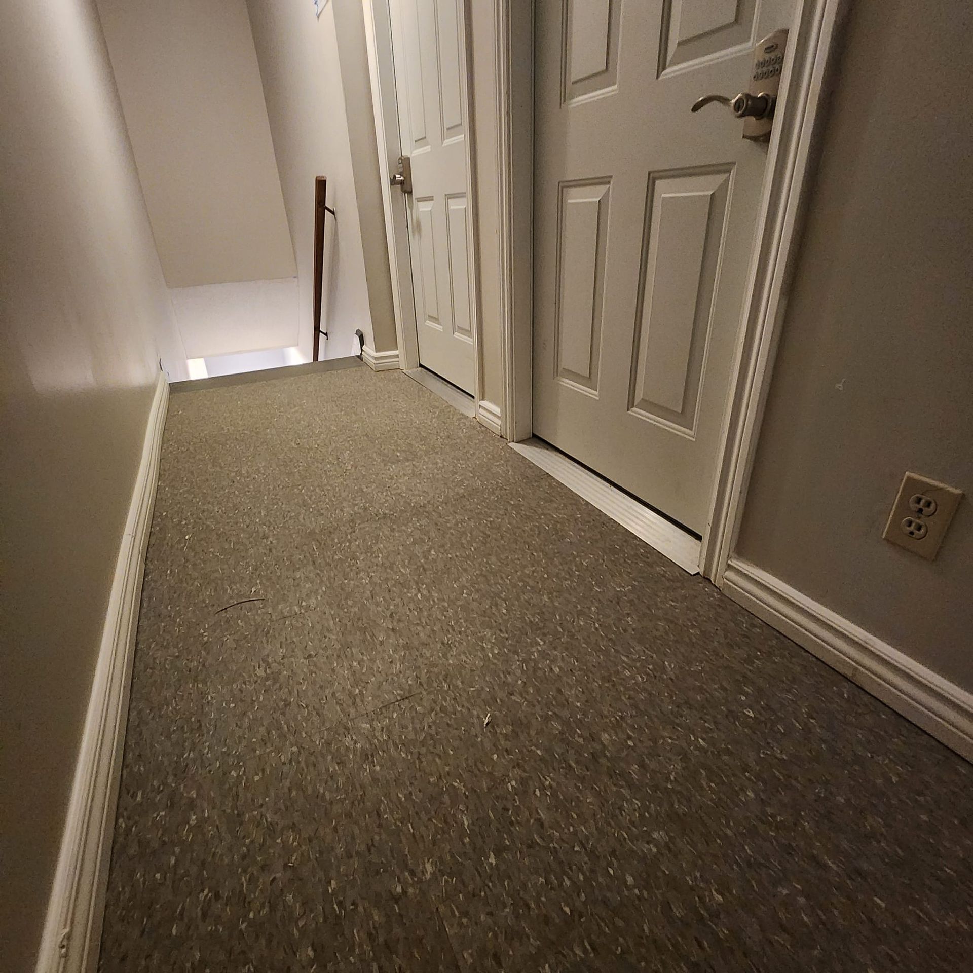 Narrow hallway with beige carpet, white doors, and a wall with a light switch.