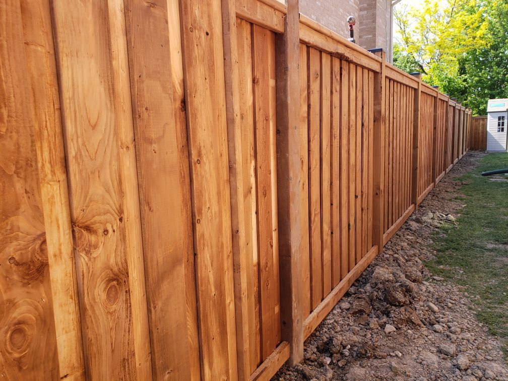 Wooden privacy fence, newly built. Vertical, light brown planks, framing a backyard.